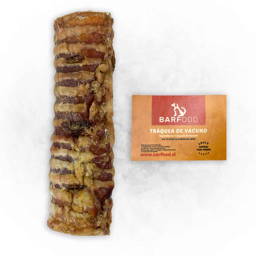traquea-de-vacuno