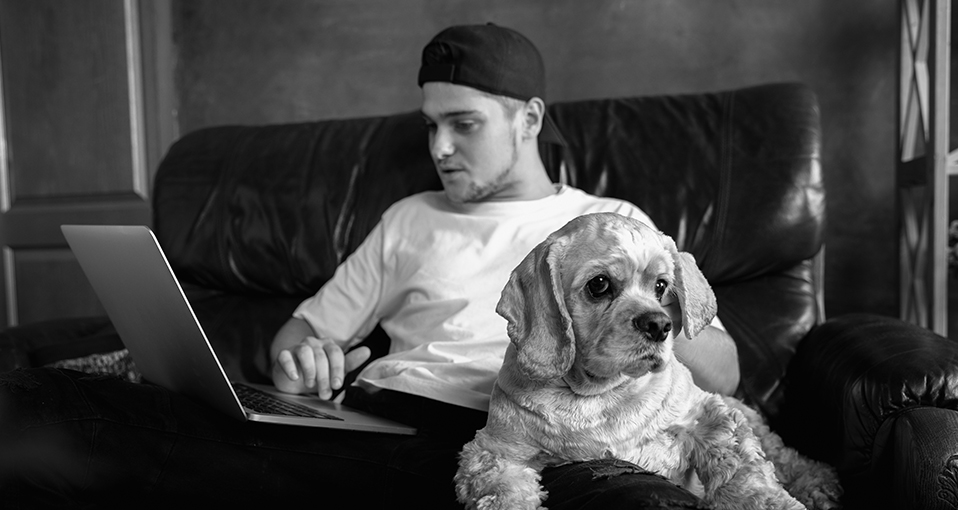 que-es-la-dieta-para-perros-barfood-1