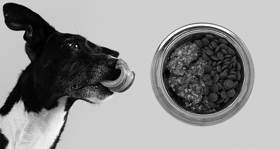 transicion-deshidratado-crudo