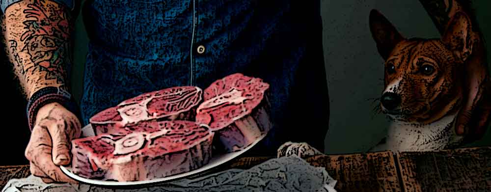 transicion-crudo-barfood-en-perros-1