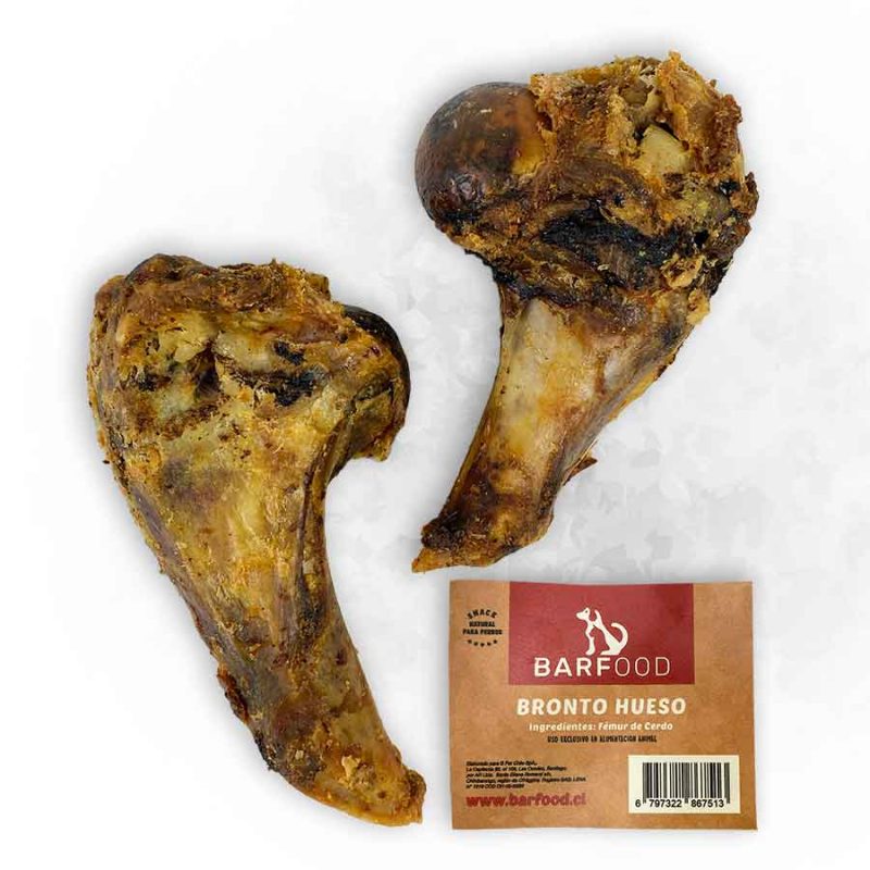 Bronto-Hueso-2