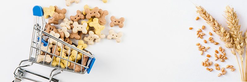 Carbohidratos-en-perros