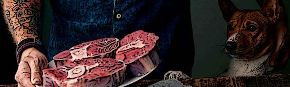 transicion-crudo-barfood-en-perros-1